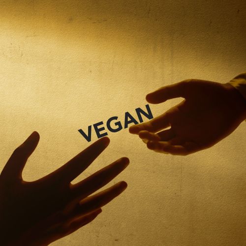 Image representing vegan help and support sites